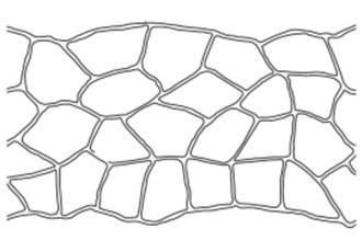 Bushrock concrete stencil pattern