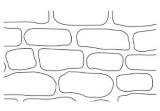 English Cobble concrete stencil pattern