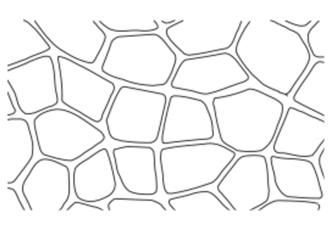 Flagstone concrete stencil pattern