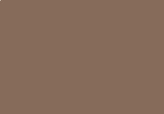 Lite Mocha decorative concrete sealer colour swatch