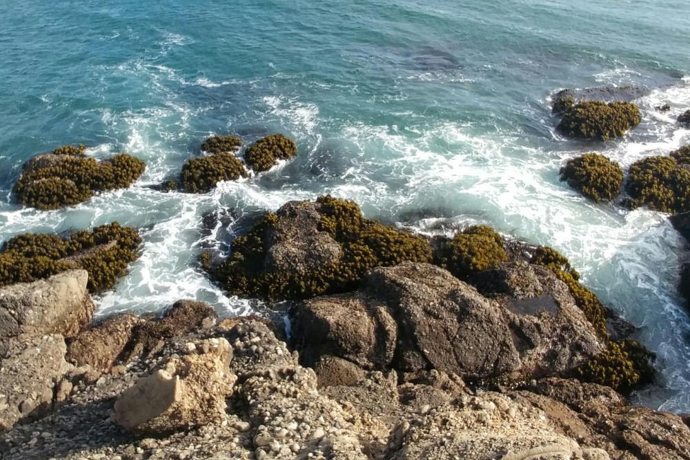 Cape Woolamai, Victoria, Australia, featuring rugged coastal cliffs, sandy beaches, turquoise ocean waters, and spectacular coastal scenery on Phillip Island.