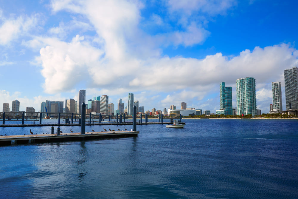 Scenic Australian waterfront with a modern city skyline, calm blue harbour waters, marina jetty, and a small boat beneath a bright blue sky with white clouds.
