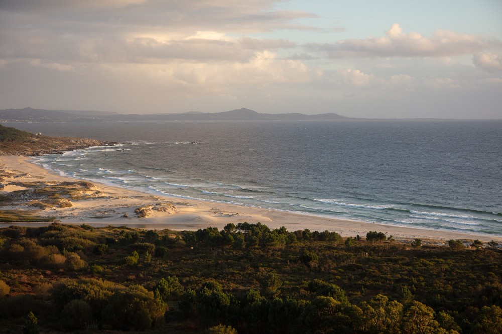 hawthorn-suburb-victoria-australia.jpg