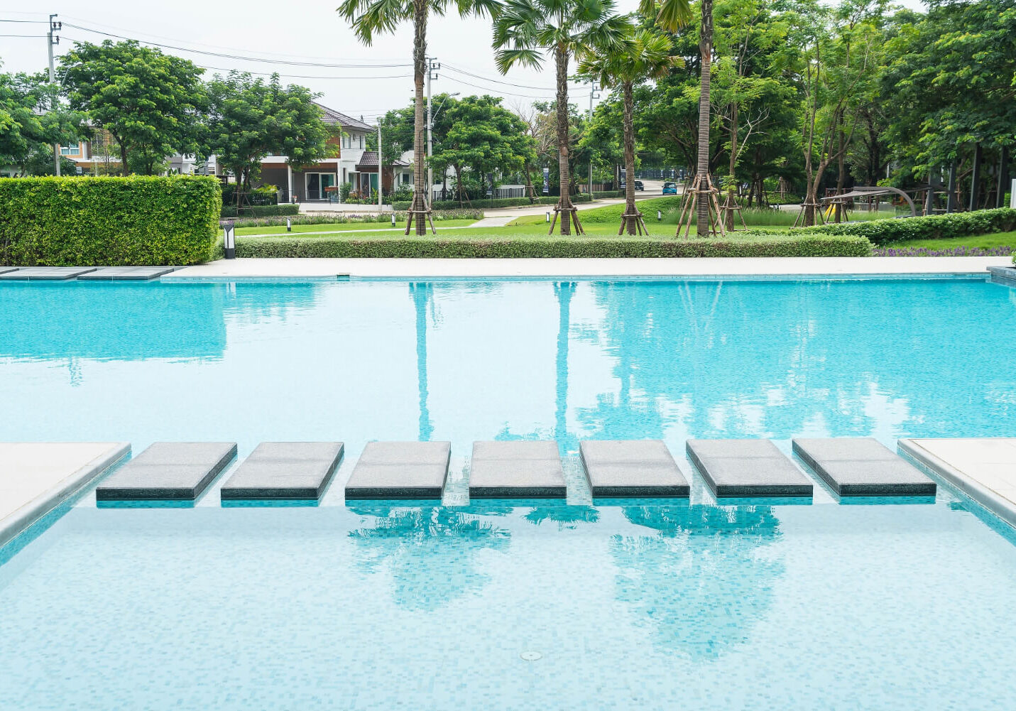 Beautiful luxury swimming pool with palm tree